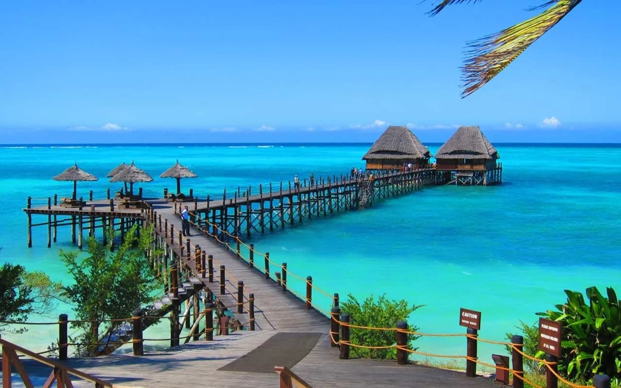 Safari & Zanzibar Beach Combo | 8 Days