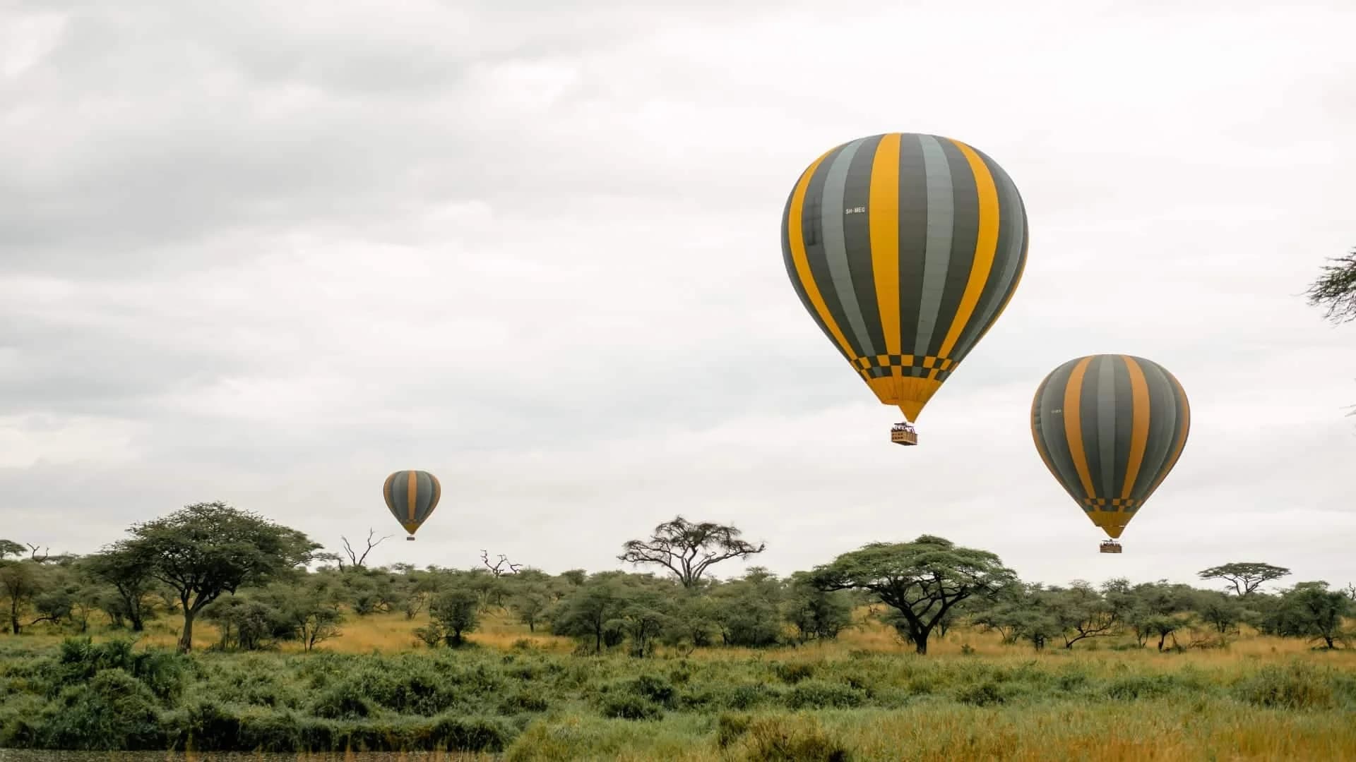 Hot Air Balloon Safaris