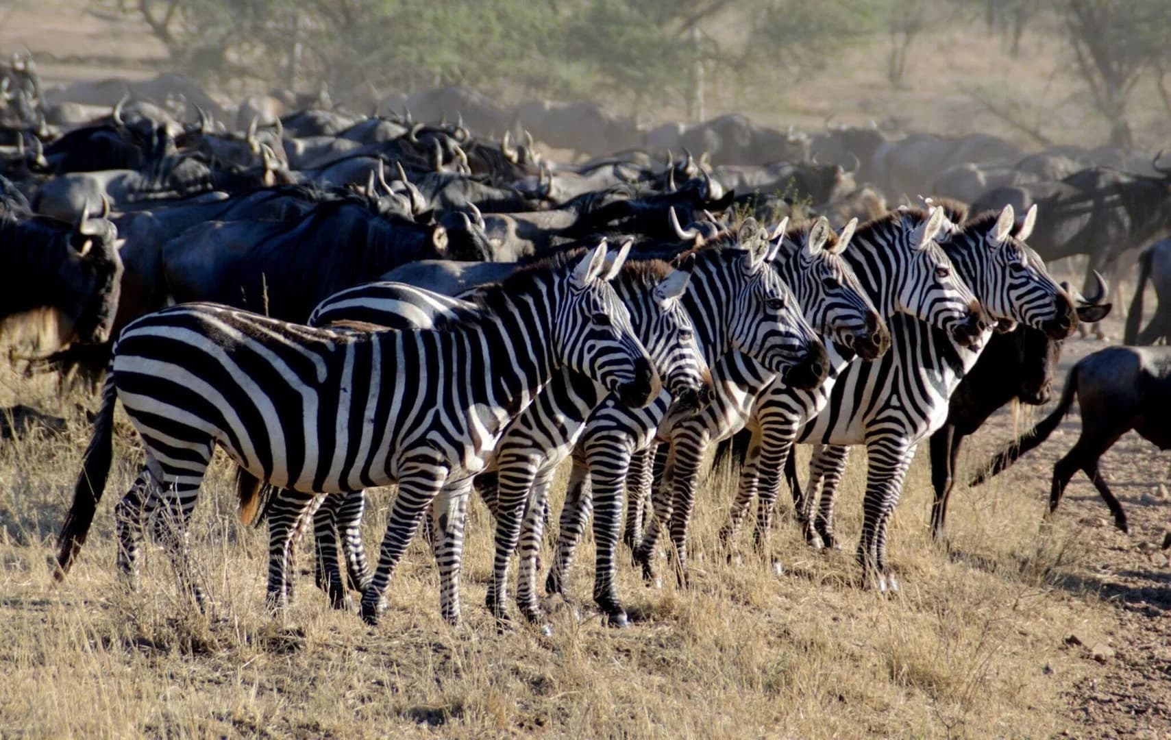 Serengeti National Park