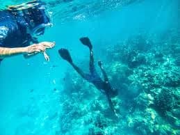 Snorkeling