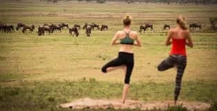 Yoga Safaris