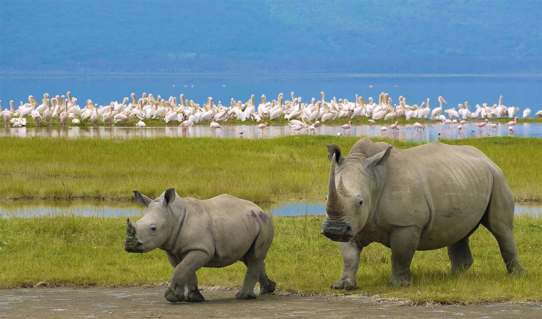 Ngorongoro Conservation Area