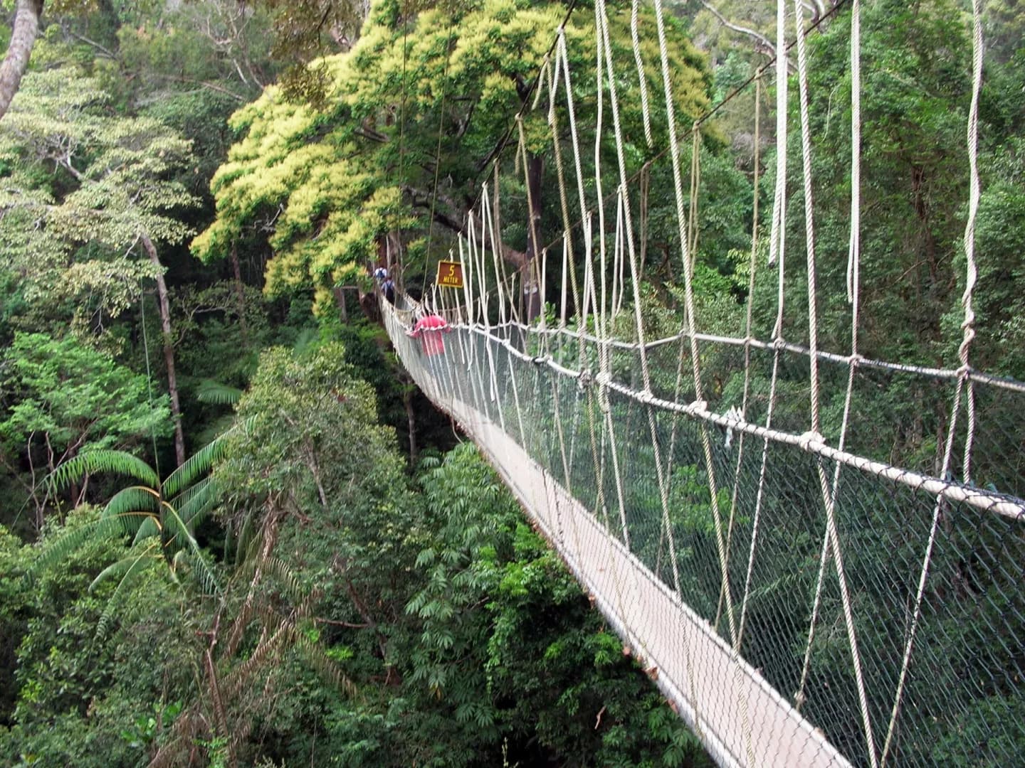 Canopy Walkway