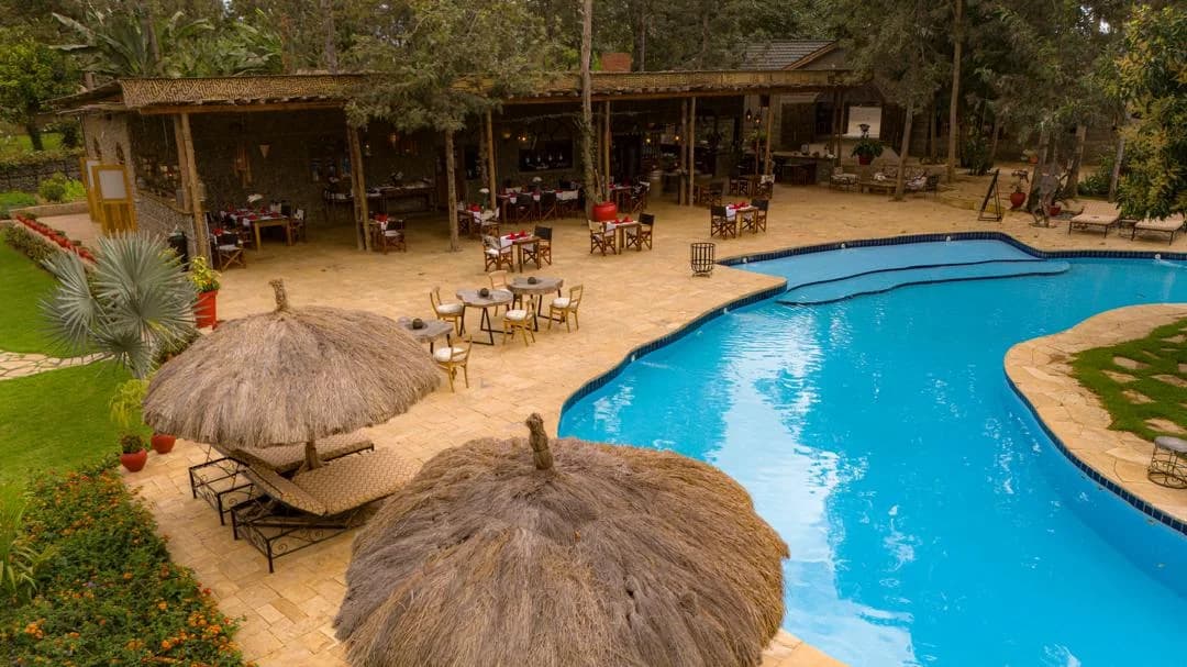 Serengeti National Park safari landscape