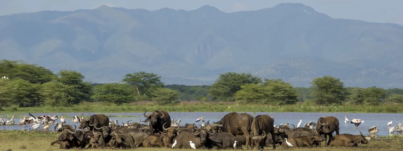 Lake Manyara National Park